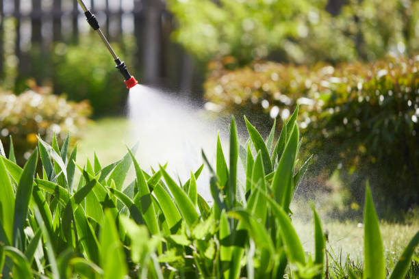 24/7 Emergency Wasp Removal experts in Madelia, MN